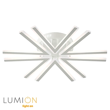 Contemporary Ceiling Light Fixture 3D model image 1 