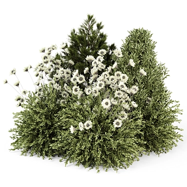 Outdoor Bush Set 2398 - Landscaping 3D model image 1 