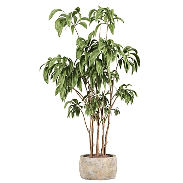 Modern Indoor Plant Set 059 3D model image 1 