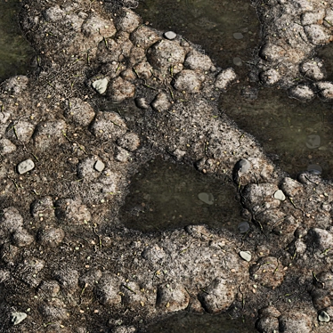 Stone Earth with Puddles Texture 3D model image 1 