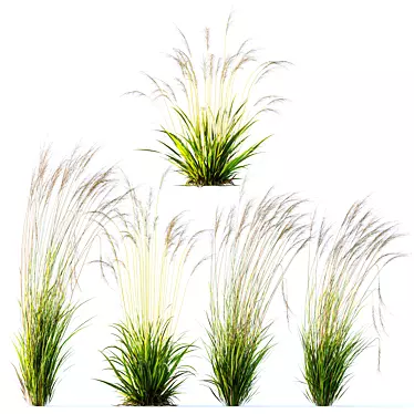 Grass Variety 3D Model Pack 3D model image 1 