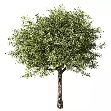 Stylish Tree Sculpture Design 3D model image 1 