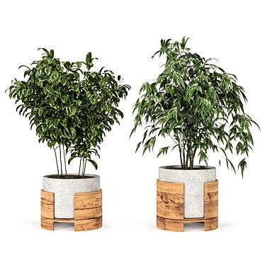 High-Quality Plant Set Model 3D model image 1 