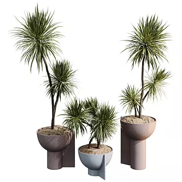 3D Yucca HousePlant Set 3D model image 1 