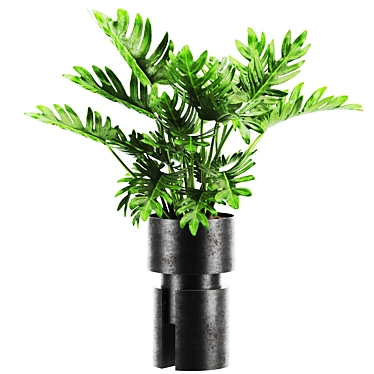 Premium Plant Collection 3D Models 3D model image 1 