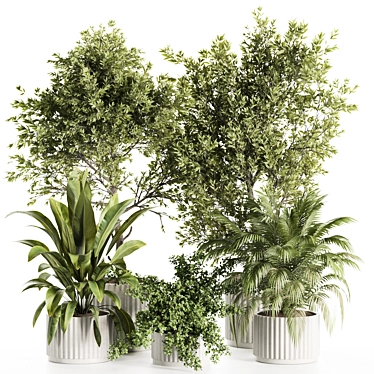 3D Indoor Plants Set 123 3D model image 1 