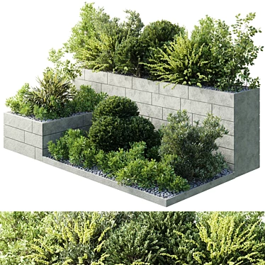 Title: Flourishing Garden Plant Box 3D model image 1 