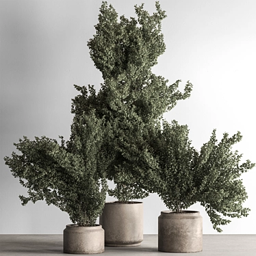 Houseplant 789: Bush in Planter 3D model image 1 