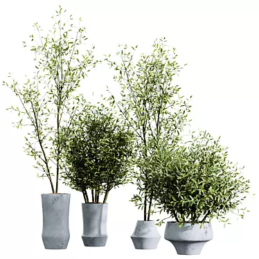 Mediterranean Joyplants Olive Tree Set 3D model image 1 