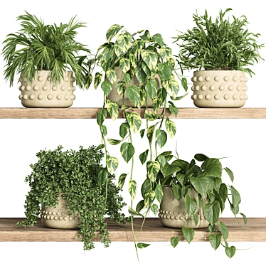 Modern Plants Shelf Decor 3D model image 1 