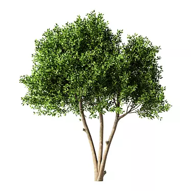 Modern Tree Sculpture Art Piece 3D model image 1 