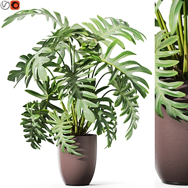 1133 Plant Collection: Lush Greenery 3D model image 1 