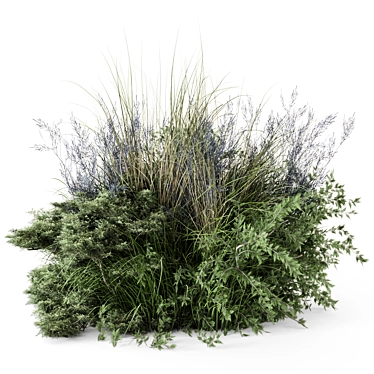 Outdoor Plants Bush Set 2430 3D model image 1 