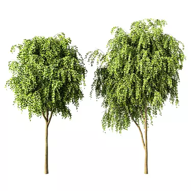 Forest Series Tree Sculpture Display 3D model image 1 