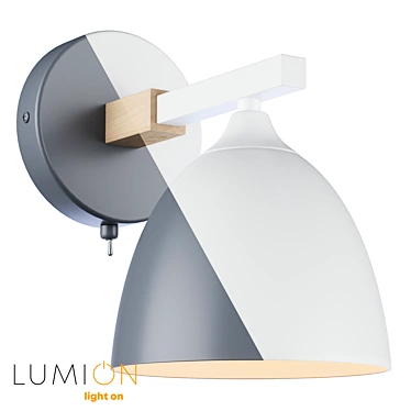 Lumion 8095/8096-1W