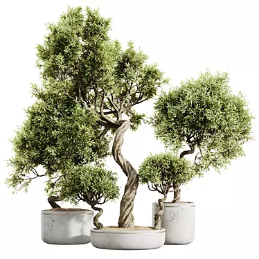 Premium Olive Tree Set: 3D Models 3D model image 1 