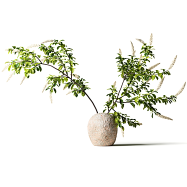 Branches with tails in a clay vase