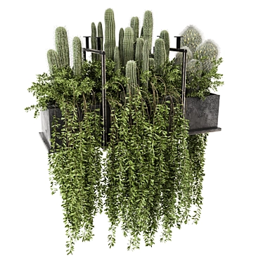 Indoor Hanging Plants in Metal Box - Set 2443