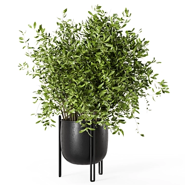  Minimalistic Indoor Plant Set 3D model image 1 