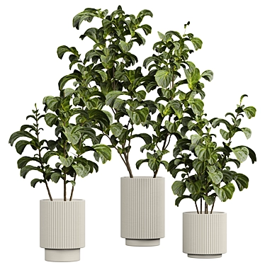 2015 Indoor Plant 535 3D Model 3D model image 1 