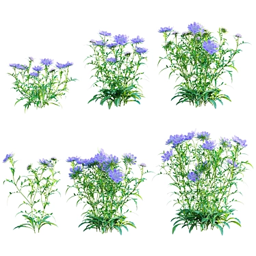 Versatile 3D Plant Models Kit 3D model image 1 