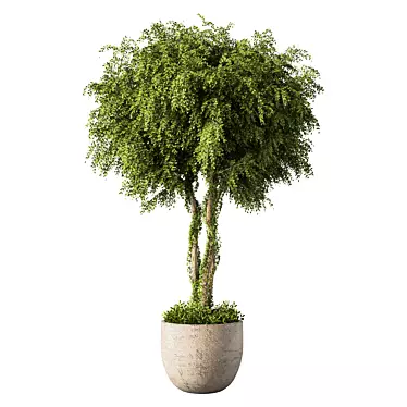 Greenery Haven Plant Set 180 3D model image 1 