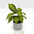 Textured Indoor Pet Plant 3D model small image 1