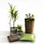 Country House Live Plant Set 3D model small image 1