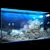  Coral Reef Aquarium 3D model small image 1