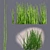 Equirustic: Realistic Equisetum Bushes 3D model small image 1