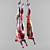 Animal Carcass: Textured & Unwrapped 3D model small image 1