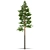 Natural Pine Timber Forest Scene 3D model small image 1