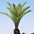 Title: Versatile Palms: Perfect for Indoor and Outdoor 3D model small image 1