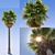 Exterior Palm Tree 3D model small image 1