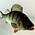 Delicious Freshwater Carp Fish

Translation: Carp Fish

(Note: The translation provided is a direct translation of the term "карась 3D model small image 1