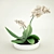 White Orchids in Pot 3D model small image 1