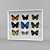 Butterfly Specimen Collection 3D model small image 1