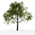 Nature's Beauty: Majestic Tree 3D model small image 1