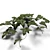 Lush Ivy: Stunning Houseplant 3D model small image 1