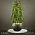 Blooming Bliss: Elegant Pot Plant 3D model small image 1