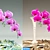 Elegant Orchid Blooms 3D model small image 1