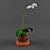 Blooming Orchid-Potted Beauty 3D model small image 1