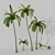 Multiscatter Palm Set 3D model small image 1