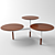 Modern Walnut Lily Pad Coffee Table 3D model small image 1