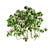 Blooming Spirea Bush 3D model small image 1