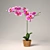 Vibrant Purple Orchid in Pot 3D model small image 1