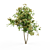 HD Variety Tree: Optimized for Rendering 3D model small image 1