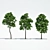 3 Maple Trees - Ready for Archi Viz 3D model small image 1