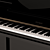 Elegant black PETROF piano 3D model small image 2