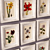 Title: PROFI Botanique Framed Floral and Fruit Paintings 3D model small image 2